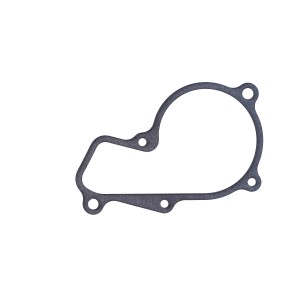 Прокладка HYUNDAI Elantra (12-) KIA Carens (12-) насоса водяного NSP NSP02251242E000 NSP