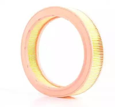 Фильтр воздушный VW Golf 4 (00-) SEAT Ibiza 2,3,4,Tolledo 2 SKODA Octavia BSG BSG90135003 BSG