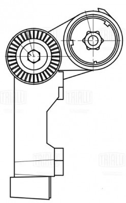Ролик приводного ремня с натяжным механизмом CM5157 TRIALLI