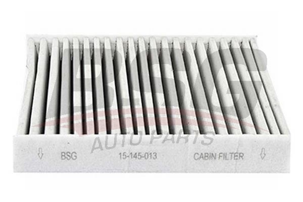 Фильтр воздушный салона BMW 1 (F20,F21),3 (F30,F35,F80),3GT (F34) угольный BSG BSG15145013 BSG