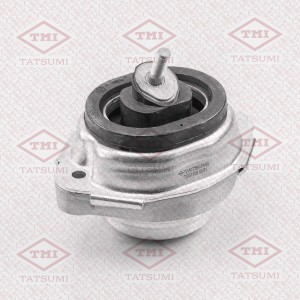 Опора двигателя передняя BMW X5(E53) 00- TEG1028 TEG1028 TATSUMI