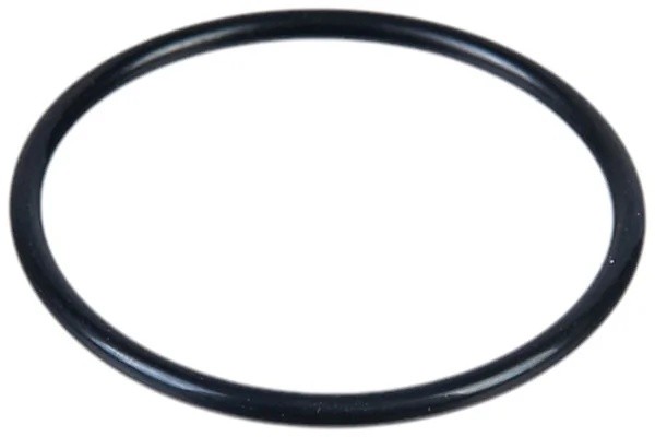 кольцо термостата! (р) 60x4 2x\ WEICHAI, SINOTRUCK WP12 17>, MB, MAN, Iveco 8165127SX STELLOX