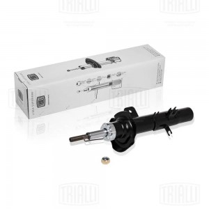 CITROEN C2 (2003>)/C3 (2002-2009) AG 20158 TRIALLI