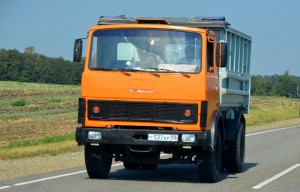 Указатель поворота ГАЗ,ЗИЛ,УАЗ передний 12V пластик РУДЕНСК 112022201 RUDENSK