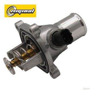 Термостат RG4431105D RIGINAL