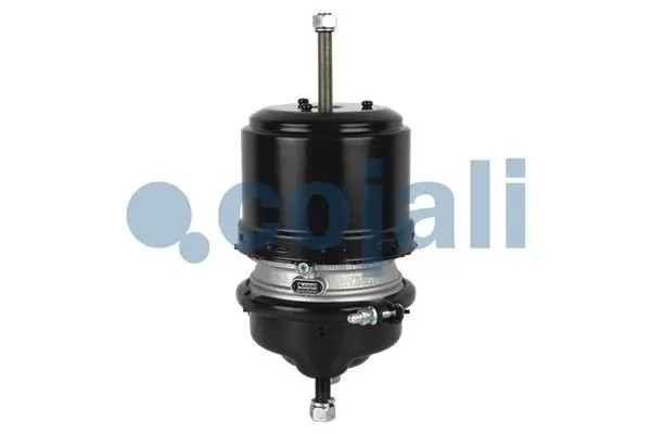 энергоаккумулятор! Tип24/24 дисков. тормозAll 2251514 COJALI