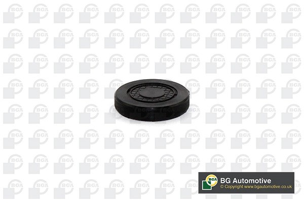 заглушка ГБЦ!\ Renault Megane/Duster 1.6/2.0 00>, Opel Vivaro 2.0 00-14 PL4602 BG AUTOMOTIVE