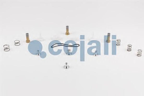 РМК платы клапанов 6014059 COJALI