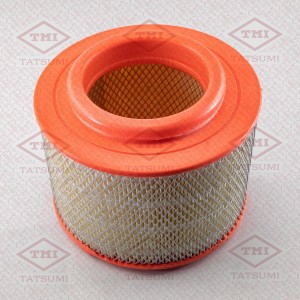 Фильтр воздушный FORD Ranger 05-MAZDA BT-50 06-TOYOTA Hilux 05- TBC1012 TBC1012 TATSUMI