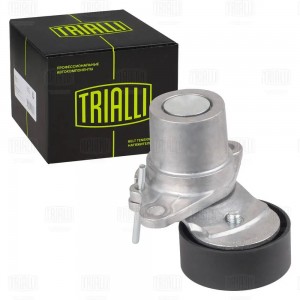 Ролик приводного ремня с натяжным механизмом CM5084 TRIALLI