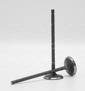 Клапан впускной SSANGYONG Actyon (14-) AUTOWELT VI-40001 AUTOWELT