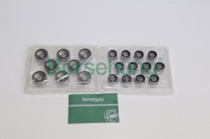 гидрокомпенсатор! комплект 20 шт. впуск.+выпуск.\ Audi, VW 1.8/T 20V 94>/2.4-2.8 B18959 BORSEHUNG