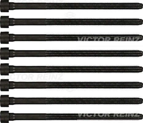 AUDI A4 [B7]/ A5/ A6/ A8 8 ШТ. 14-32198-01 VICTOR REINZ