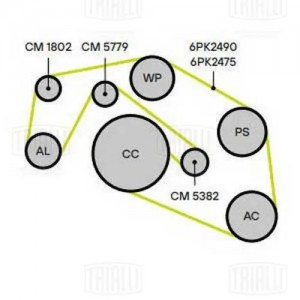 Ролик генер. VW Touareg (04-)/Audi Q7 (06-) 3.0 TDI CM1802 CM 1802 TRIALLI