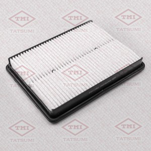 HYUNDAI SANTA FE (2012>) TBC1102 TATSUMI