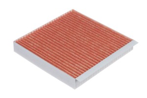 Фильтр воздушный салона TANK 300 (21-) абсорбент цеолит RAF FILTER RTG035GW RAF FILTER