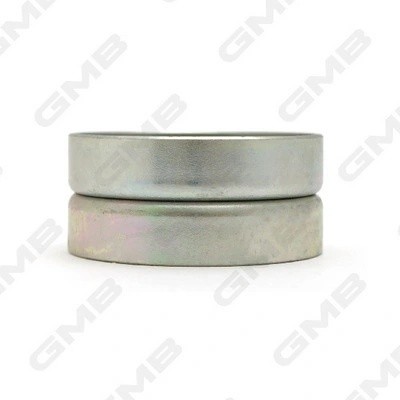 Ролик ГРМ TOYOTA Avensis,Camry,Carina,Corolla (1.8/1.9/2.0) обводной GMB GT80330 GMB