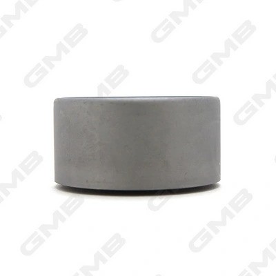 Ролик ГРМ KIA Sportage (99-) обводной GMB GT20030 GMB