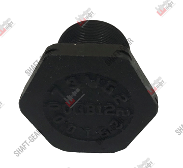 Болт М42*40*1,5 WG2229100073 SHAFT