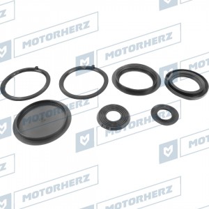 Ремкомплект рулевого редуктора hkz0266l MOTORHERZ