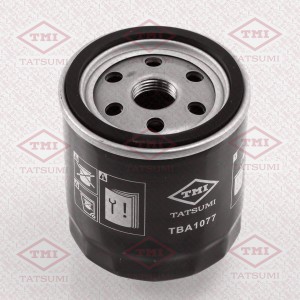 CHRYSLER GRAND VOYAGER/GRAND CARAVAN (RT) (2007>) TBA1077 TATSUMI