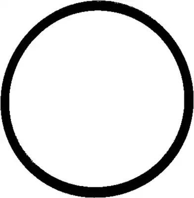 VAG 3.0D 71-40522-00 VICTOR REINZ