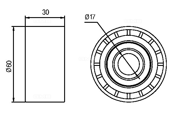 Ролик приводного ремня RENAULT Master (00-) (2.2/2.5 TD) OPEL Movano (01-) (2.5  GTA0050 GMB