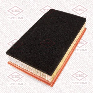 HAVAL JOLION (2021>) TBC1323 TATSUMI