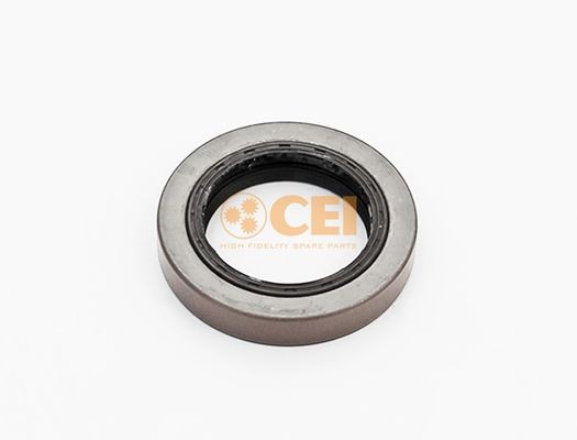 Сальник хвостовика VO 3152027 RVI 5000675975 139809 CEI