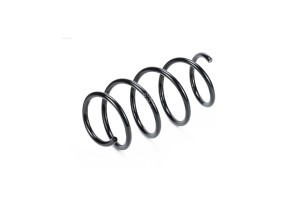 Пружина передняя 4840298 METACO