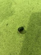 Плунжер УАЗ стопорный штоков КПП (ОАО УАЗ) 045150170210800 UAZ UAZ