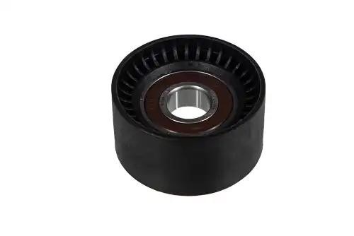 ролик обводной! Renault Espace/Laguna/Trafic 2.0/1.9dCi 01> Z23753 ZENTPARTS