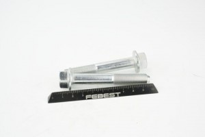 Болт верхн рычага задн подвески NISSAN QASHQAI J10/J11 0498-002-PCS2 0498-002-PCS2 FEBEST