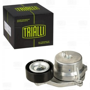 Ролик привод. ремня для а/м Chery Tiggo 4 Pro 22-/Omoda C5 22- 1.5T [SQRE4T15C]  CM5807 TRIALLI