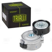 Ролик привод. ремня для а.м Ford Mondeo IV (07-),Kuga (13-) 2.0d,2.2d (с натяж.  CM5399 TRIALLI