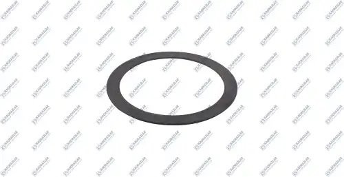 Шайба дифференцила R660/RB660 Scania 2/3/4 серия K0703631 KACMAZLAR