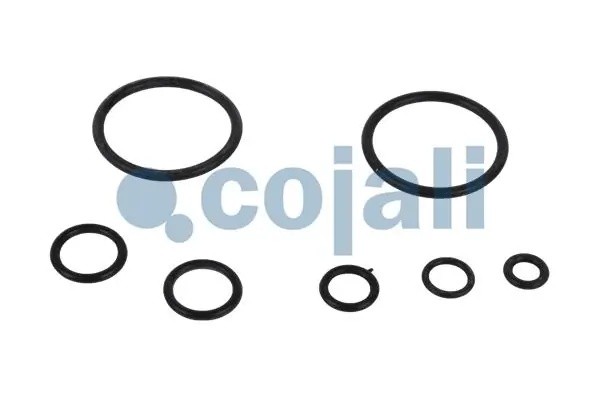 РМК крана стояночного тормоза 6012241 COJALI