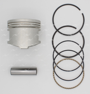 PN33160 PN-33160 поршень с кольцами STD NISSAN E16 PN-33160 AUTOWELT