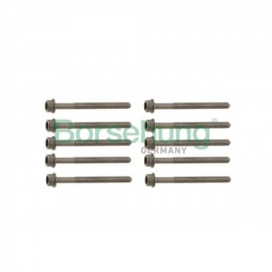 Комплект болтов ГБЦ B10625 B10625 BORSEHUNG
