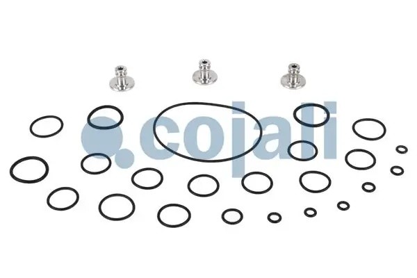 Р/к клапана пневмосистемы 6014040 COJALI