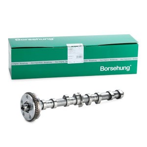 распредвал выпускной!\Audi A3, VW Passat, Skoda Octavia 1.8TSI BYT, BZB 06> B18979 BORSEHUNG