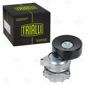 Ролик приводного ремня NISSAN Armada натяжителя в СБ TRIALLI CM 5895 TRIALLI