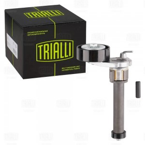 Ролик приводного ремня с натяжным механизмом CM5079 TRIALLI
