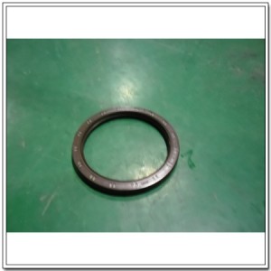 Сальник коленвала SSANGYONG Actyon (06-),Kyron (05-),Rexton (02-) (E23/D20/27) з 6619973147 SSANG YONG