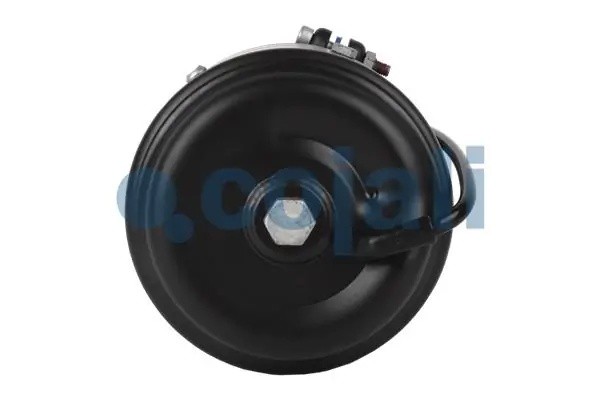 Энергоаккумулятор (клиновой тормоз) TYPE 10.5/16 2351406 COJALI