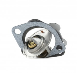 Термостат TH25982G1 GATES