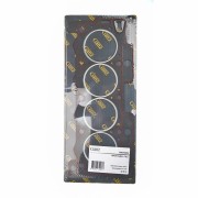 CITROEN / PEUGEOT GIE11089 GANZ