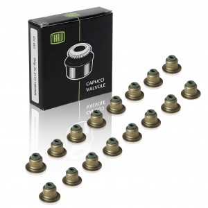 FORD FOCUS (1998>) CV 1001 TRIALLI