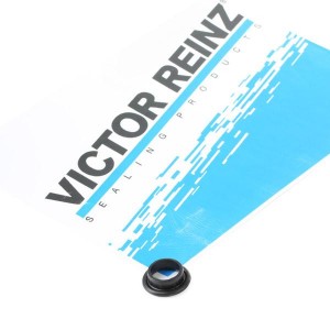 Прокладка корпуса впускного коллектора (1 шт) 71-25876-00 (1 шт) 71-25876-00 71-25876-00 VICTOR REINZ