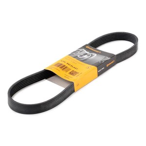 ремень поликлиновой!\ Audi A3, VW Golf VI/Touran 1.6/2.0TDi 03> 6-PK-842 ELAST CONTITECH